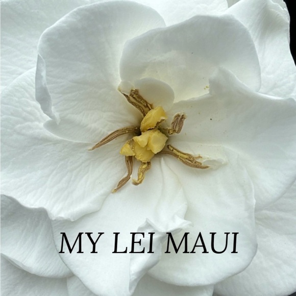 Handmade Mother of Pearl Pikake 16” Choker Necklace AAA Larimar Grey Pearls - Picture 9 of 10